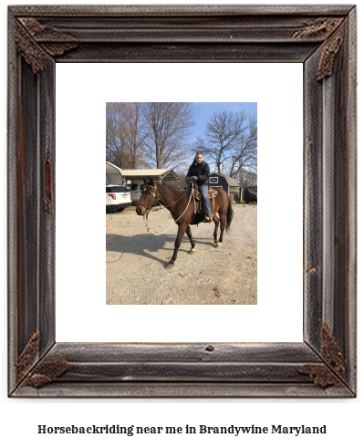 horseback riding near me in Brandywine, Maryland